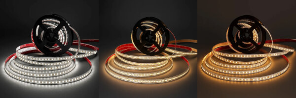 CCT LED-Streifen dualweiß 24V